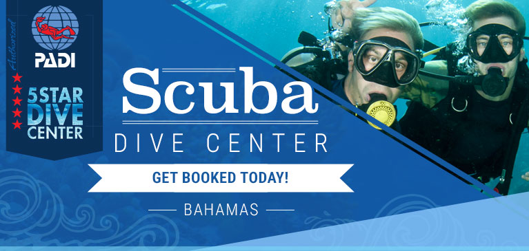 Bahamas Dive Center